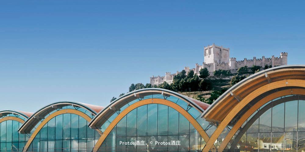 Protos酒庄 © Protos酒庄