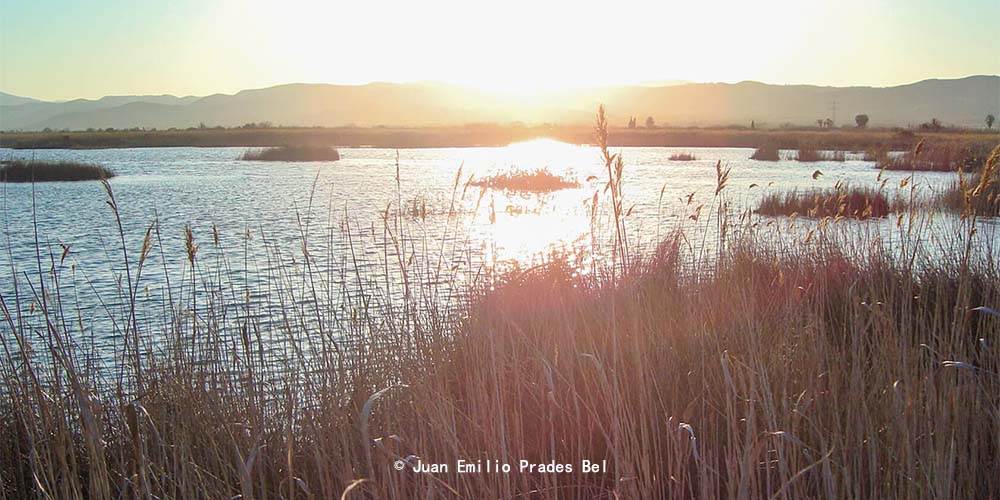 卡瓦尼斯-托雷布兰卡滨海湿地自然公园