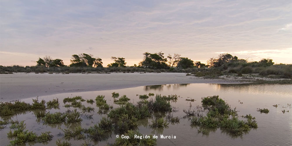 圣佩德罗-德尔皮纳塔尔盐田和流沙公园