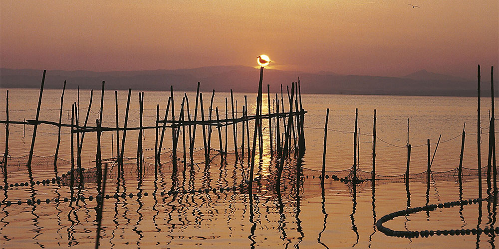 瓦伦西亚阿尔布费拉自然公园