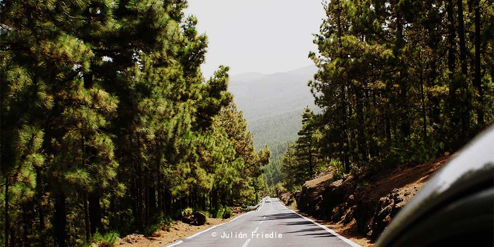 洛斯坎佩切斯、蒂盖加和鲁伊斯景观保护区