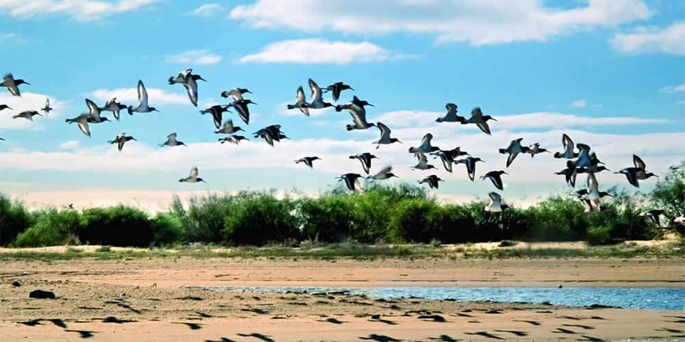 奥迭尔河海滨沼泽生态圈保护区