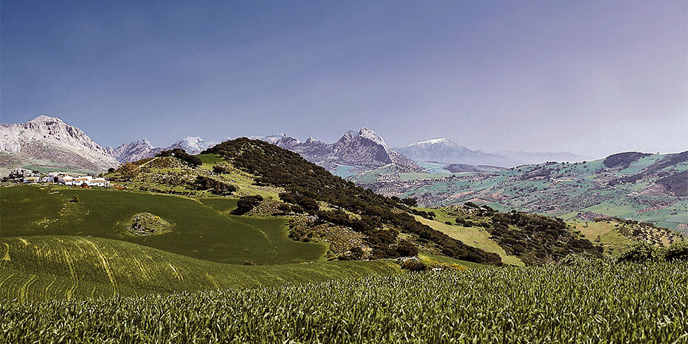马拉加山脉自然公园