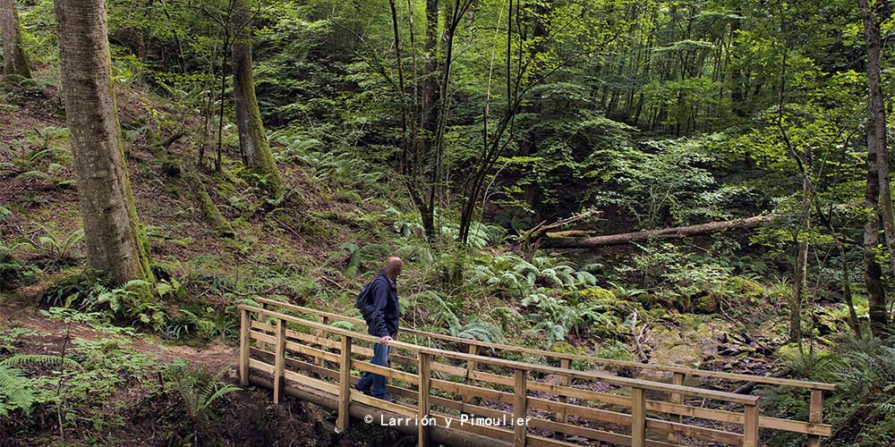 贝尔蒂斯领地自然公园