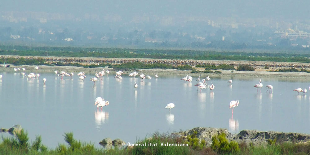 圣波拉盐田自然公园