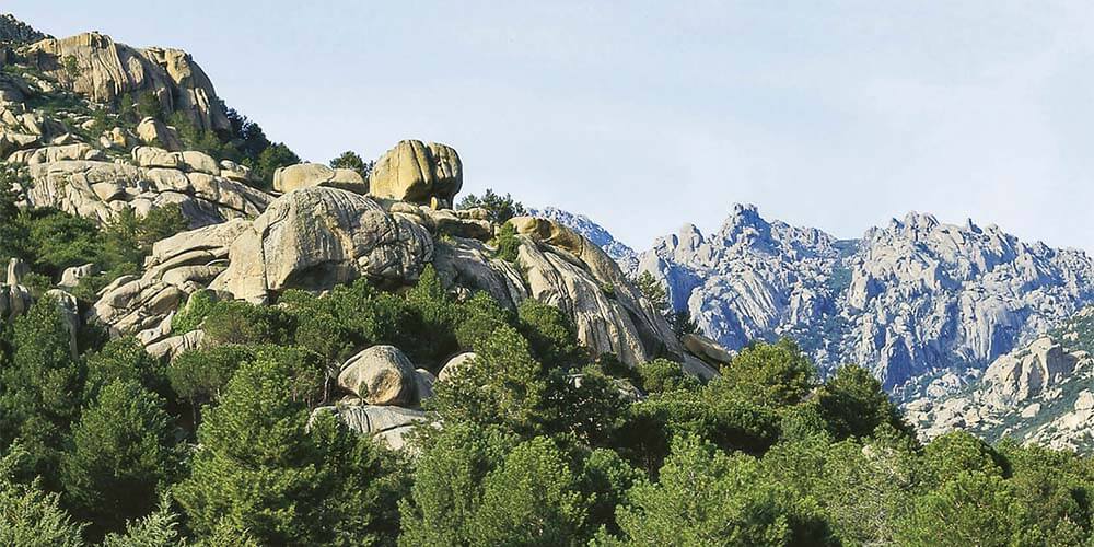 曼萨纳雷斯河上游生态保护区