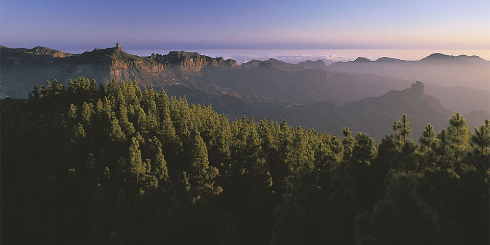 伊纳瓜综合自然保护区