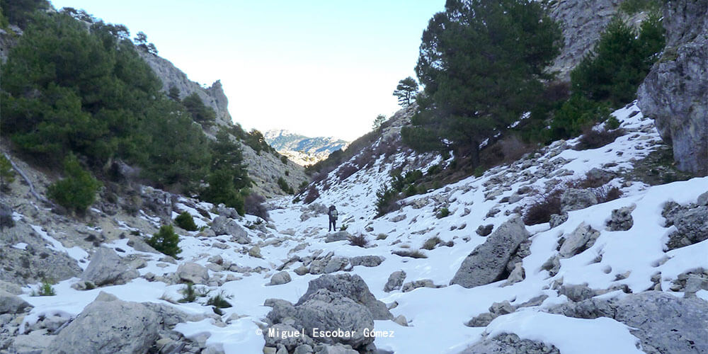 卡斯特里尔山脉自然公园