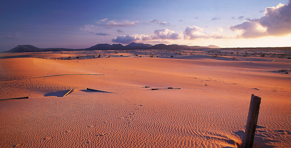 富埃特文图拉岛科拉雷霍自然公园的沙丘