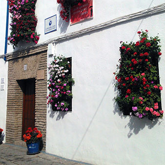 科尔多瓦阳台与铁栏装饰大赛